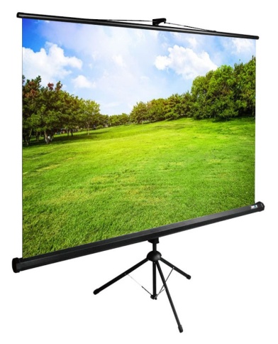 Экран Cactus 150x200см TriExpert CS-PSTE-200x150-BK 4:3 напольный рулонный черный фото 1
