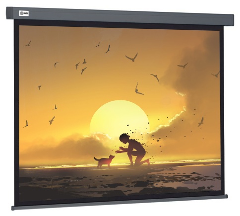 Экран Cactus 124.5x221см Wallscreen CS-PSW-124x221 16:9 настенно-потолочный рулонный белый фото 1
