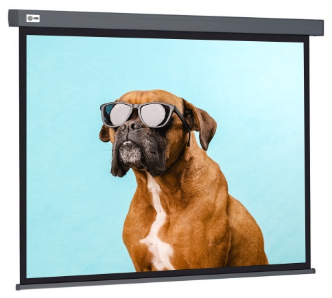 Экран Cactus 149.4x265.7см Wallscreen CS-PSW-149x265 16:9 настенно-потолочный рулонный белый фото 1