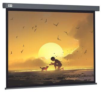  Cactus 124.5x221 Wallscreen CS-PSW-124x221 16:9 -  