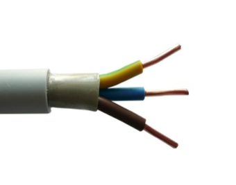 NYM-J 31,5     ( 10)