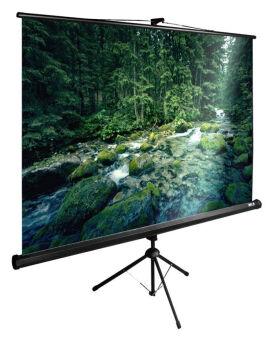  Cactus 165x220 TriExpert CS-PSTE-220x165-BK 4:3   