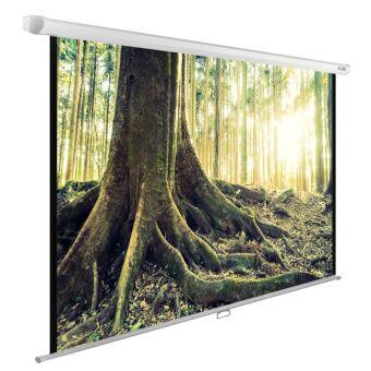  Cactus 220x220 WallExpert CS-PSWE-220x220-WT 1:1 - 