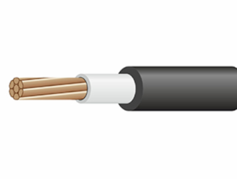       ()-LS 116-0,66 ()  ( )