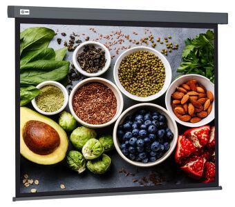  Cactus 150x150 Wallscreen CS-PSW-150X150-SG 1:1 -  