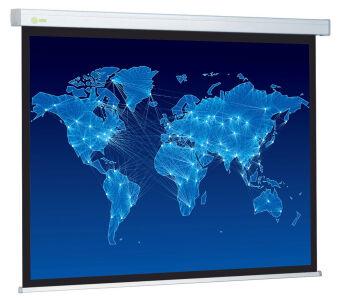  Cactus 152x203 Wallscreen CS-PSW-152x203 4:3 -  