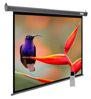  Cactus 138x220 SIlverMotoExpert CS-PSSME-220X138-DG 16:10 -  - ( )