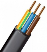 ()-LS 31,5-0.66 .  ( 10)