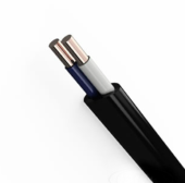       ()-LS 22,5-0,66  ( 100)