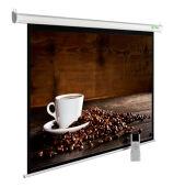  Cactus 300x300 MotoExpert CS-PSME-300x300-WT 1:1 -   ( )