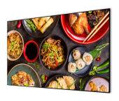    Cactus 114x201 Alr Expert CS-PSALR-201X114 16:9  