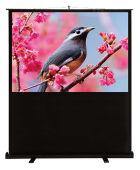  Cactus 90x120 FloorCompactExpert CS-PSFLCE-120X90 4:3  