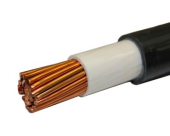       ()-LS 125-0,66 ()  ( )