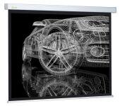  Cactus 213x213 Wallscreen CS-PSW-213x213 1:1 -  