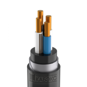 ������ ������ ������� ������������� ������(�)-LS 4�10-0,66 (��) ����