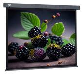  Cactus 127x127 Wallscreen CS-PSW-127X127-SG 1:1 -  