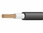       ()-LS 116-0,66 ()  ( )