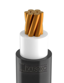       ()-LS 135-0,66 ()  ( )