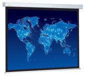  Cactus 152x203 Wallscreen CS-PSW-152x203 4:3 -  