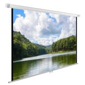  Cactus 150x240 WallExpert CS-PSWE-240x150-WT 16:10 -  