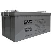  DL-SVC-12V200AH, 12/200