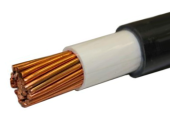 ВВГнг(А)-LS-1 1х120 (мн) (изол.-бел.) кабель Кавказкабель