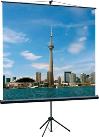 Экран на треноге Lumien 200x200см Eco View LEV-100103 1:1 напольный...