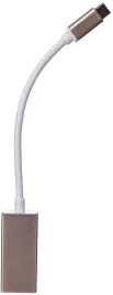 Telecom USB 3.1 Type-CM --> DP(f)