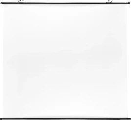 Экран Cactus 180x180см Map type CS-PSRM-180x180-BK 1:1 настенно-потолочный рулонный черный