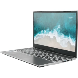 Ноутбук/ Nerpa Caspica A352-15 15.6"(1920x1080 (матовый) IPS)/AMD Ryze