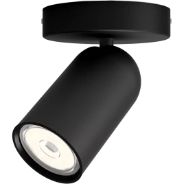 Потолочный светильник Philips/ Потолочный светильник PONGEE single spo