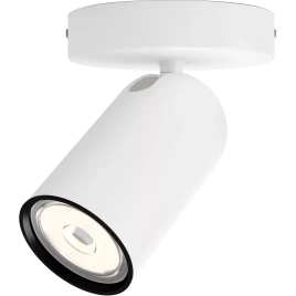 Потолочный светильник Philips/ Потолочный светильник PONGEE single spo
