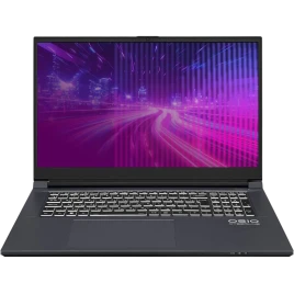 Ноутбук CyberLine C170i-001 17.3"(1920*1080 IPS (матовый, 144Hz) )/Int