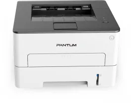 Pantum P3010D