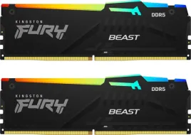 Kingston FURY Beast RGB EXPO