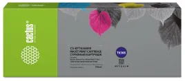 Cactus CS-EPT636800
