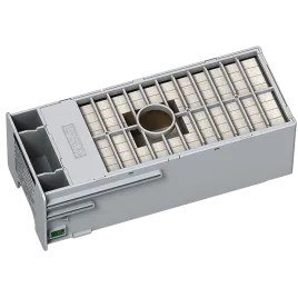 Epson C13T699700