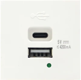 Donel USB зарядное устройство, 4.2A , Type A + C, 2 мод., бел. (45х45м