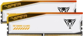 Patriot PVER548G60C36KT