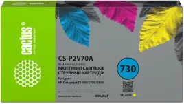 Cactus CS-P2V70A