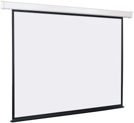 Экран Lumien 229x305см Eco Control LEC-100108 4:3 настенно-потолочный рулонный белый...