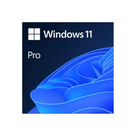 Лицензия на ПО/ Win Pro 11 32-bit/64-bit All Lng PK Lic Online DwnLd N