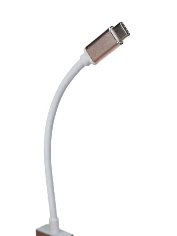 Telecom USB 3.1 Type-CM --> DP(f) фото 3