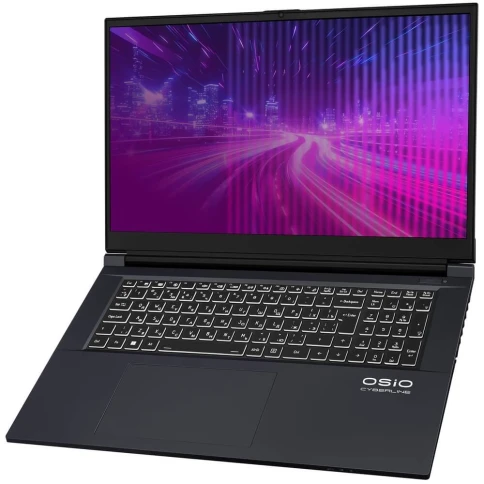 Ноутбук CyberLine C170i-002 17.3"(1920*1080 IPS (матовый, 144Hz) )/Int фото 6