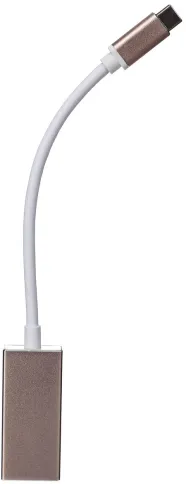 Telecom USB 3.1 Type-CM --> DP(f) фото 1