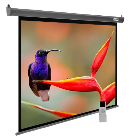 Экран Cactus 138x220см SIlverMotoExpert CS-PSSME-220X138-DG 16:10 настенно-потолочный рулонный тёмно-серый (моторизованный привод) фото 1