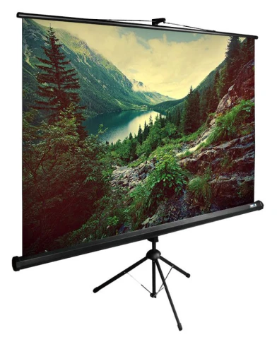Экран Cactus 220x220см TriExpert CS-PSTE-220x220-BK 1:1 напольный рулонный черный фото 1