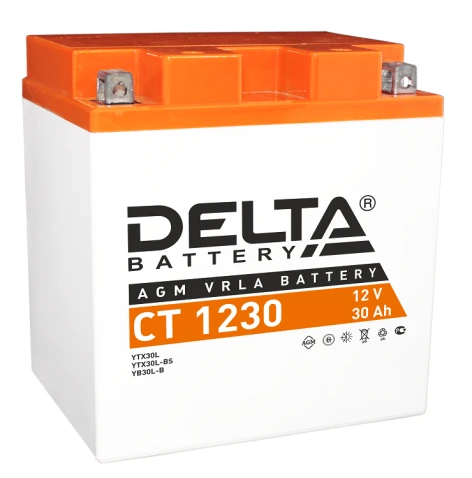 Аккумуляторная батарея для мото-техники/ DELTA серия  CT, CT 1230, напряжение 12В, емкость 30 Ач (разряд 10 часов 10.5 В), пусковой ток: 300А, полярность обратная ( - +),  тип AGM;Pb (свинцово-кислотный), клеммы: BN под болт,  ДxШxВ 168x126x175мм., вес  8 фото 1