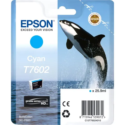 Epson T7602 (C13T76024010) фото 1