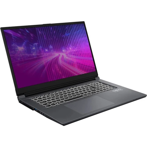 Ноутбук CyberLine C170i-002 17.3"(1920*1080 IPS (матовый, 144Hz) )/Int фото 2